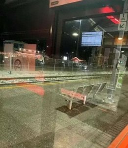 ​小长假，澳洲大批华人笑着回国，如今都“哭”着回来了