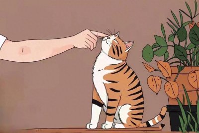 ​研究了100个剩男后发现，30岁还娶不上老婆的男人，都有3个共性