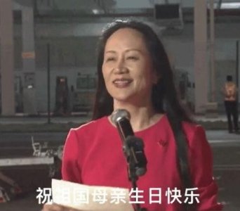 ​1028天，孟晚舟为何被加拿大拘捕，她的回国究竟有着怎样的意义？