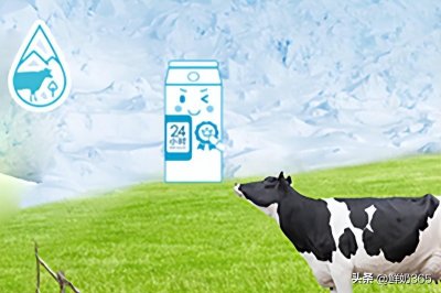 ​在哪可以订牛奶？订奶平台有哪些？