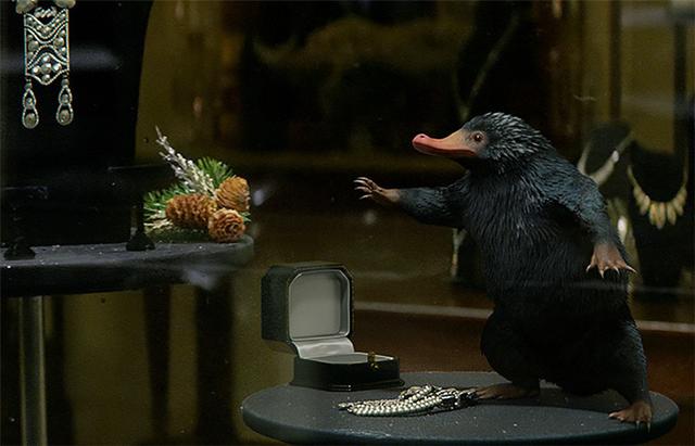 神奇动物在哪里电影大盘点(神奇动物在哪里豆瓣评分怎么样)(5)