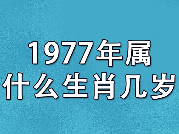 1977年属什么生肖(1977年属蛇)
