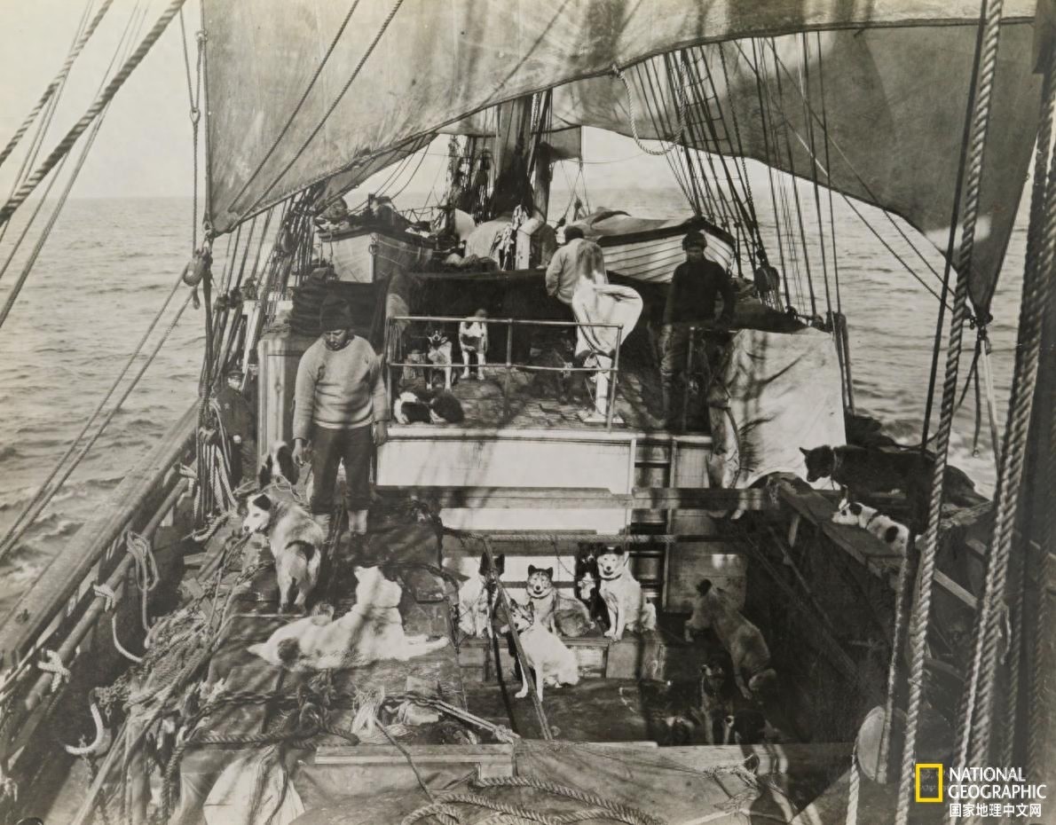 南极洲到底是谁发现的?