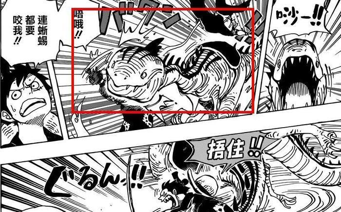海贼王913话鼠绘:霍金斯是稻草果实!小菊被同质化,相扑手登场