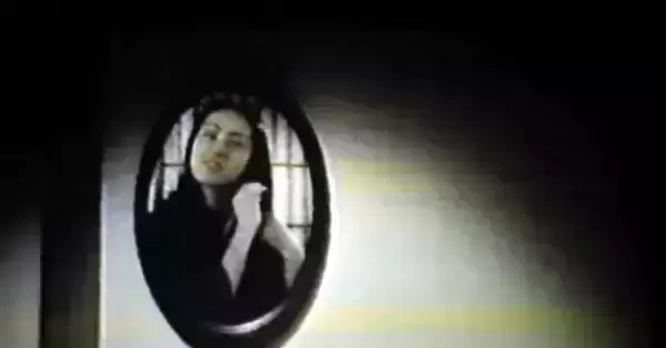 豆瓣好评的cult电影有哪些（五部cult高分电影推荐）