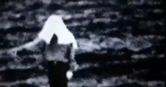 豆瓣好评的cult电影有哪些（五部cult高分电影推荐）