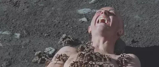 豆瓣好评的cult电影有哪些（五部cult高分电影推荐）