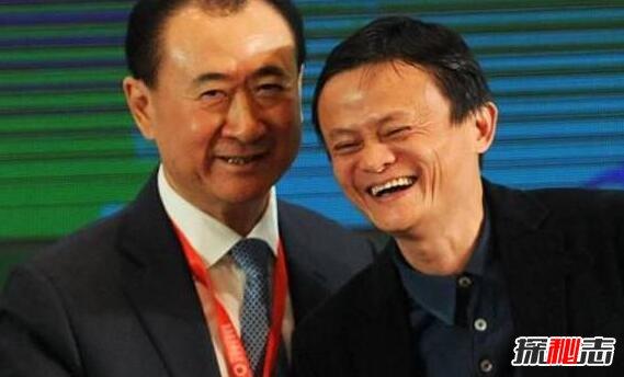 王石的儿子，王石资料及简介(王石简介图片王石简介)