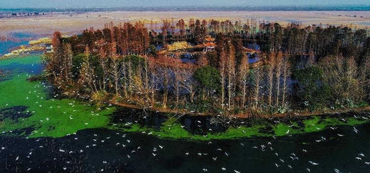 仙桃和潜江哪个发展好(潜江和仙桃哪个经济发达)