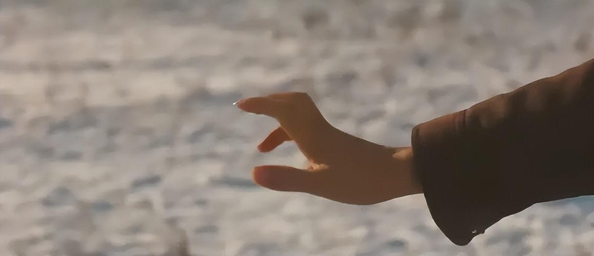 树先生解析细思极恐看了三遍（为什么都说树先生恐怖）