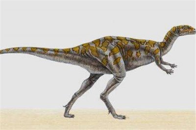 ​橡树龙：奔走速度极快碰到伤害会赶快遁离