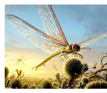 ​地球古生物——史前蜻蜓
