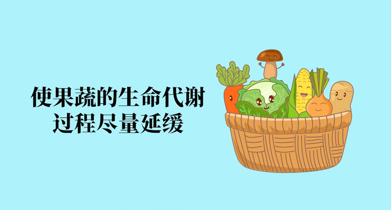 冷藏和冷冻的区别 冷藏和冷冻多少度合适