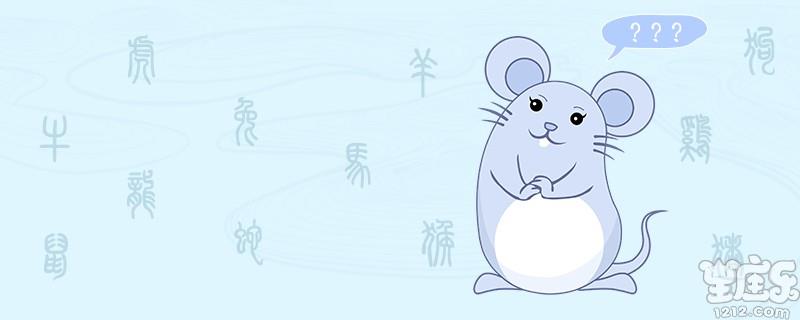 生肖鼠和什么生肖最配.jpg