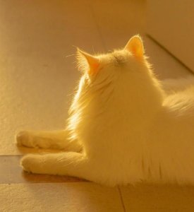 黑化，是性格与人性的剧变，12星座成长的特殊通道