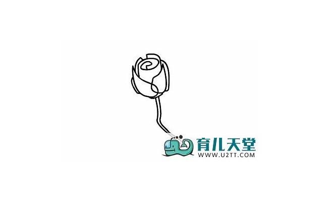 19朵玫瑰代表什么意思玫瑰花（19朵玫瑰朵数代表什么）