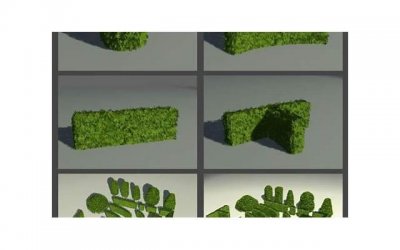 ​做梦梦见耳朵是什么意思