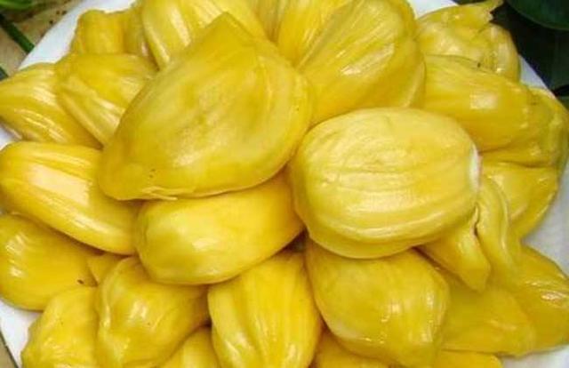 云南盈江附近的县（边境风云之四边陲小城）(25)