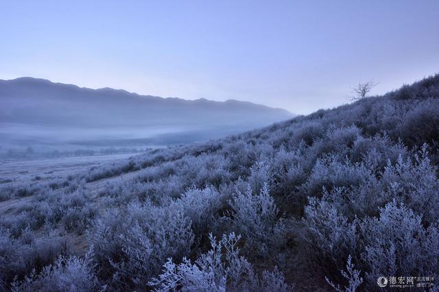 云南盈江附近的县（边境风云之四边陲小城）(15)