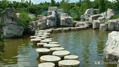 深圳中山公园附近有哪些好玩的（深圳游记之十九）(6)