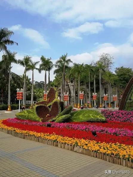 深圳中山公园附近有哪些好玩的（深圳游记之十九）(1)