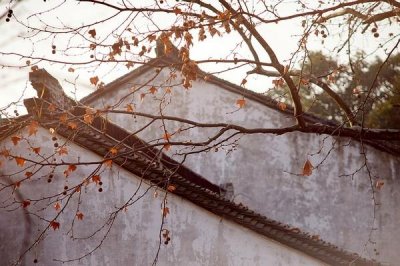 情商比较低的四个生肖，有你吗？