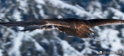 ​豆瓣评分9分以上｜必看｜震撼人心的经典电影｜高分电影清单（1）