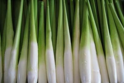 鲁迅先生文章中的两部分着眼点有何不同