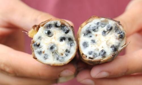 香蕉有种子吗?种子在哪儿