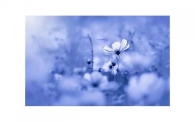 ​送女朋友什么生日礼物？女朋友创意礼物大全