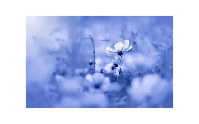  送女朋友什么生日礼物？女朋友创意礼物大全