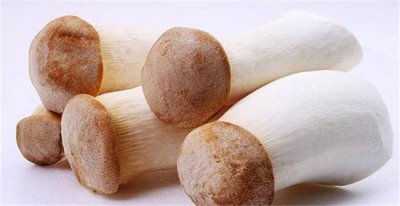 ​吃杏鲍菇要注意什么饮食 哪些人不宜吃杏鲍菇