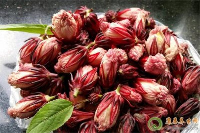 ​洛神花茶用开水泡吗 洛神花泡茶怎么泡