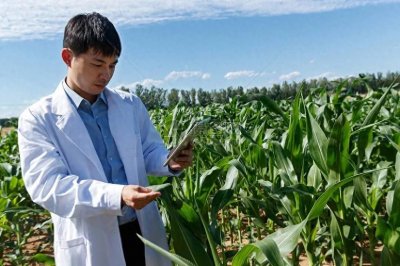 ​揭开23年谜团——陕西榆林靖边强奸杀人案成功侦破！