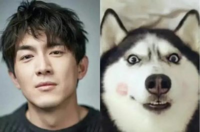 ​林更新与他背后的5任绯闻女友：蒋梦婕被粉丝群嘲，王丽坤意难平