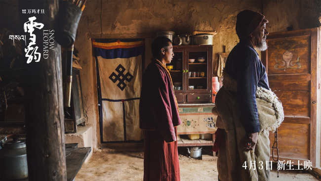 万玛才旦作品《雪豹》人豹羁绊彰显影片温暖底色