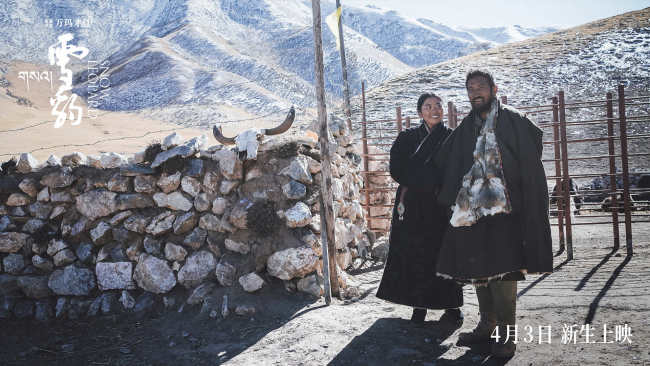 万玛才旦作品《雪豹》人豹羁绊彰显影片温暖底色