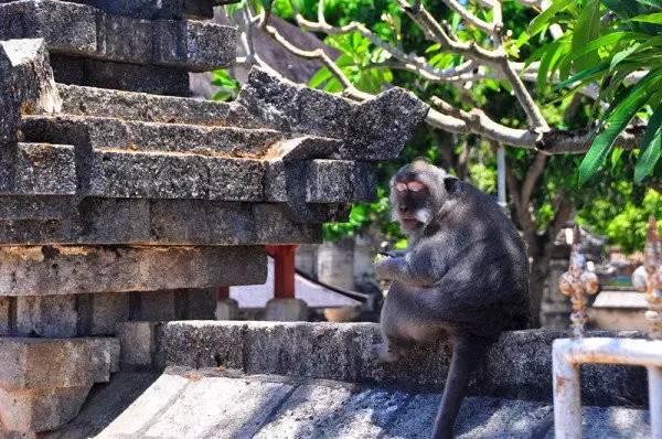 风光旖旎的巴厘岛（度假天堂浪漫巴厘岛）(23)