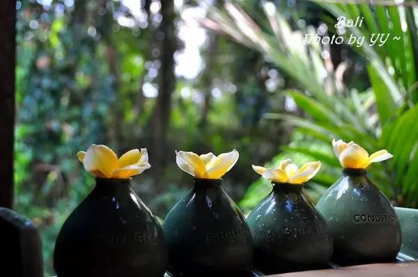 风光旖旎的巴厘岛（度假天堂浪漫巴厘岛）(37)