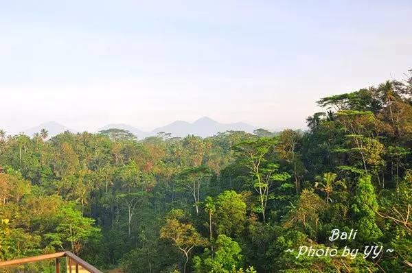 风光旖旎的巴厘岛（度假天堂浪漫巴厘岛）(40)