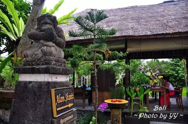 风光旖旎的巴厘岛（度假天堂浪漫巴厘岛）(34)