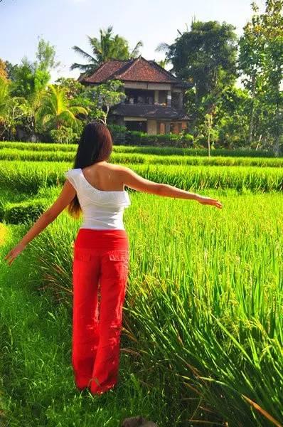 风光旖旎的巴厘岛（度假天堂浪漫巴厘岛）(36)