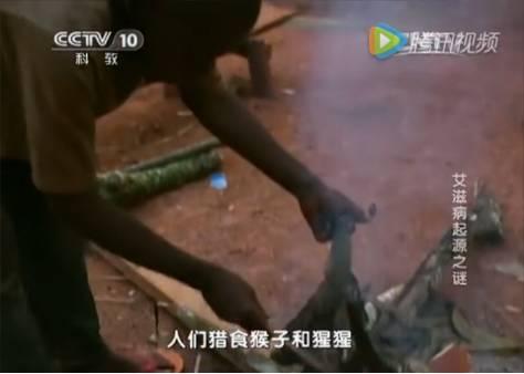 9分钟告诉你艾滋病有多可怕 这是关于艾滋病的最强科普(6)