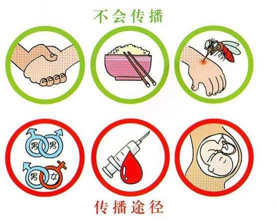 9分钟告诉你艾滋病有多可怕 这是关于艾滋病的最强科普(14)