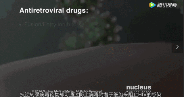 9分钟告诉你艾滋病有多可怕 这是关于艾滋病的最强科普(9)