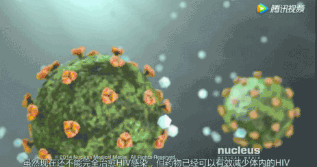 9分钟告诉你艾滋病有多可怕 这是关于艾滋病的最强科普(13)