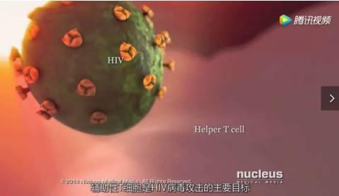 9分钟告诉你艾滋病有多可怕 这是关于艾滋病的最强科普(11)
