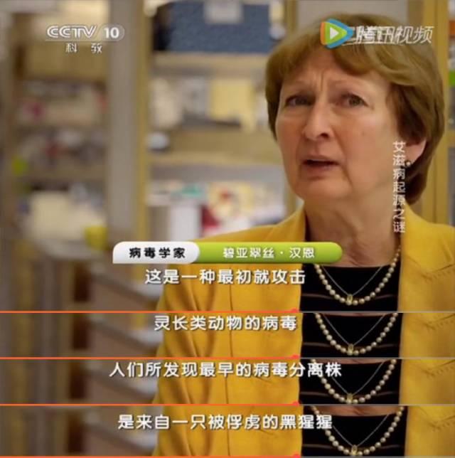 9分钟告诉你艾滋病有多可怕 这是关于艾滋病的最强科普(5)