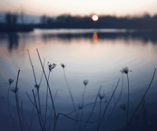 最火的十首粤语歌排名（10首最经典的粤语歌）(15)