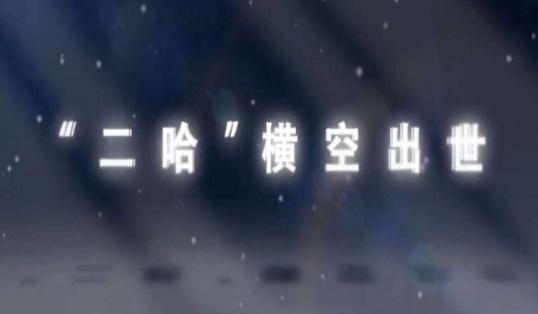 新版《喜羊羊》即将上映，灰太狼变成哈士奇